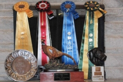 2011 11-11 VCA NAFC