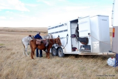 Vizsla Club America NAFC 2015 Mark Spurgeon's Camp