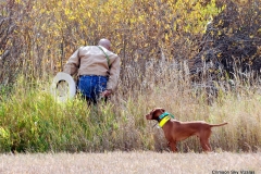 VCA NAFC 2015 Brace 6 Ruby and Gunner
