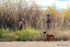 VCA NAFC 2015 Brace 6 Ruby and Gunner