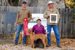 2nd Diamond C's Ruby Jewel VCA NAFC 2015