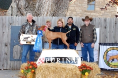 VCA Derby 2015 1st Wind Riverview Whoa Nellie "Nellie" O/H Clint & Valerie Sales