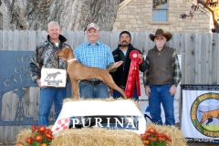 VCA Derby 2015 2nd CK Too Hot To Handle "Cayenne" O/ Brian Adams H Brian Gingrich