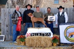 VCA Derby 2015 2nd CK Too Hot To Handle "Cayenne" O/ Brian Adams H Brian Gingrich
