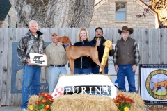 VCA Derby 2015 3rd Red Wind Midnight Memories at Cider Creek "Zayne" O/H Clint & Valerie Sails