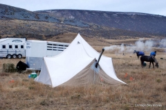 Brian Adams the mountaineer Vizsla Club America NFC 2015