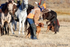 Second Series Brace 1 Macy and Ginny VCA NFC 2015