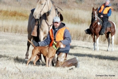 Second Series Brace 2 Pete and Bull VCA NFC 2015