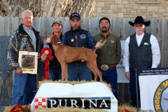 VCA NFC 2015 2nd "Bull" O/H Miller