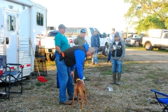 Vizsla Club of Greater Milwaukee fall 2015