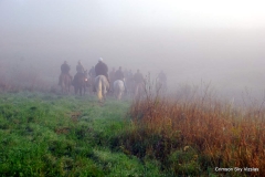 Vizsla Club of Greater Milwaukee fall 2015