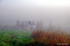 Vizsla Club of Greater Milwaukee fall 2015