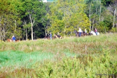 Vizsla Club of Greater Milwaukee fall 2015