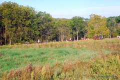 Vizsla Club of Greater Milwaukee fall 2015