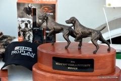 16-03-25_17_Futurity