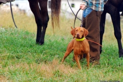 NAFC Brace 3 Phee Boscardin & Buddy Huff