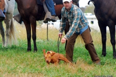 NAFC Brace 3 Phee Boscardin & Buddy Huff