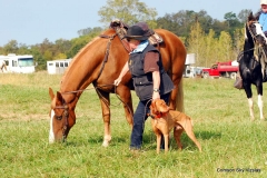 2016 VCA NFC Brace 5 Brody/ Dixon & Adele / Rowel