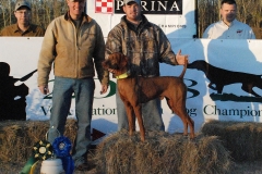 Vizsla Club of America National Gundog Championship 2008