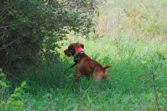 Brace 8 Bogart & Tori