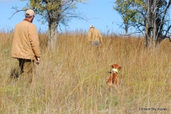 Brace 5 Ruger / Spurgeon & Bogart Stapleton