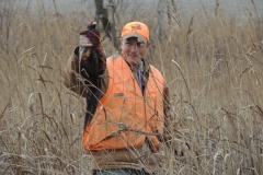 Mark Pheasant hunting with the dogs