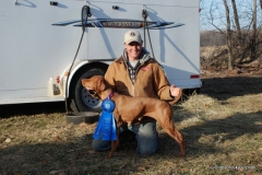 Izzy gets a blue at the Wisconsin Weimeraner trial