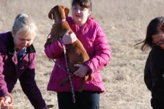 Hailey with a Ruger pup at Ruger's Party at National Gundog Championship