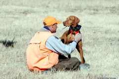 Mark and Gauge before the castoff, Vizsla Club America NFC 2015