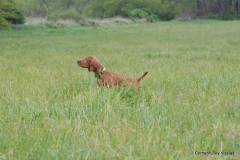 12-02-13 Trainin 9 Gauge