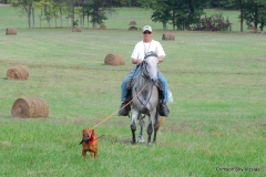 Brace 11 Rigby & Dixie