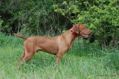 12-02-13 Trainin 04 Rigby
