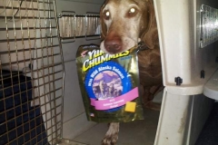2012-03-24 Ruger