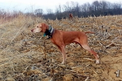 20140322 Ruger