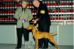 Ruger best of winers cover newsletter