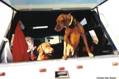 ruger and madison in s.d.