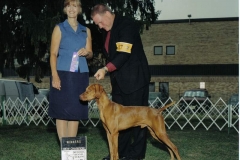 ruger new champion