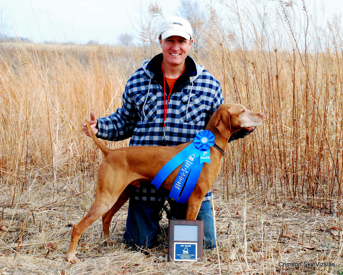 11-02-20 Gateway Vizsla Club Trial 35