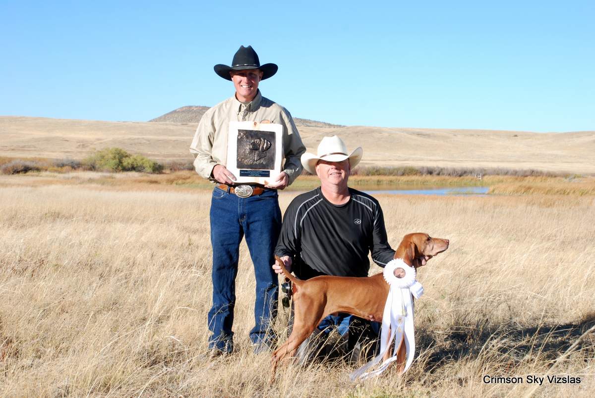 Vizsla Club America NAFC Rigby 2015