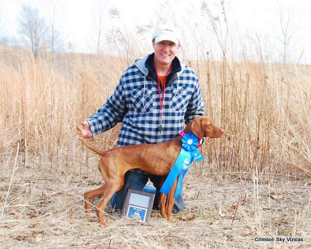 Gateway Vizsla Club Trial Dakota 11-02-20 93