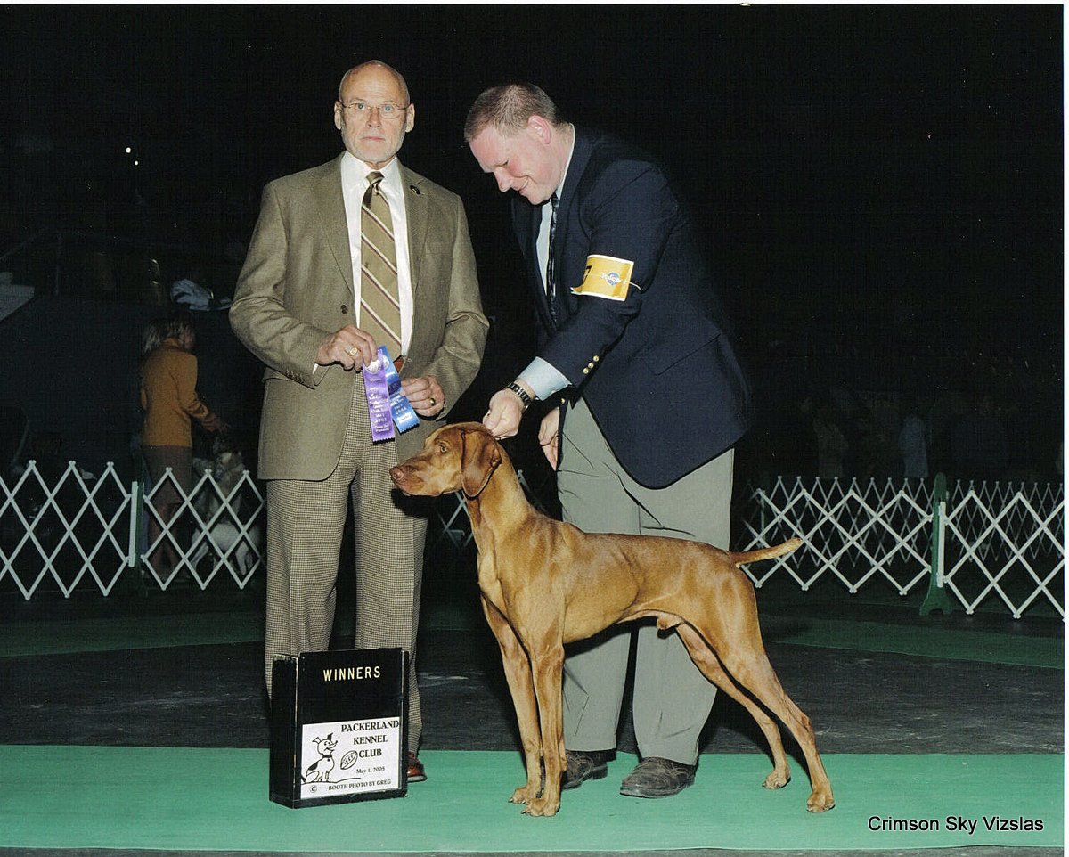 RUGER DOG SHOW