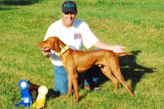 Rigby 1st place CWVC Fall Trial