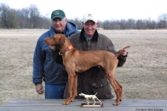 Rigby Midwest Vizsla Futurity 2008