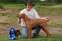 Rigby 1st Central Wisconsin Vizsla Club Trial spring 2010