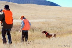 Vizsla Club America NFC 2015