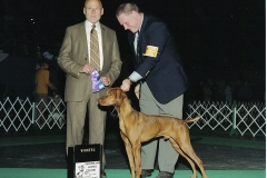 Ruger in the show ring