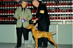 Ruger best of winers cover newsletter
