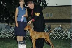 Ruger a new Show Champion