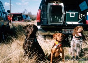 Char, Madison and Gunnar