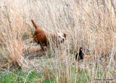 Madison hunting at 13 years old